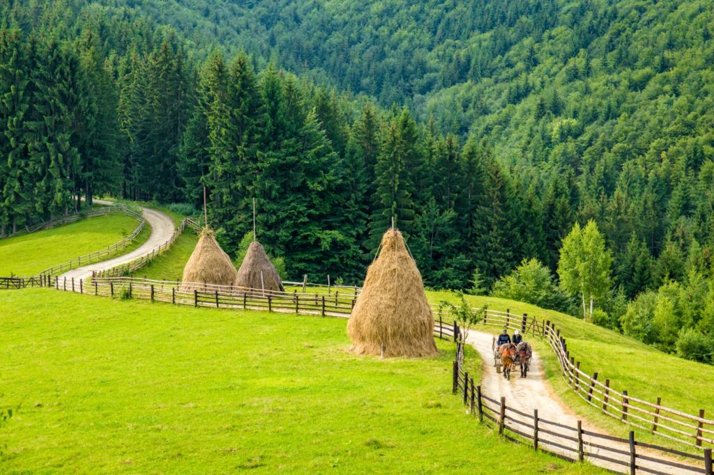 Rural life in Romania