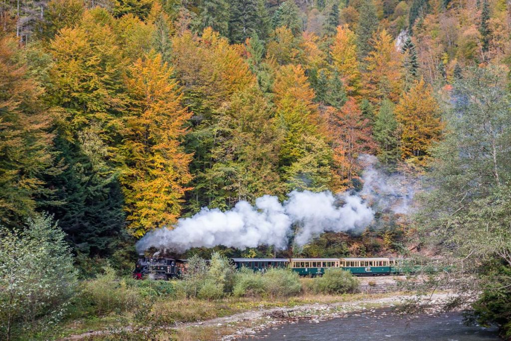 Steam Train, Maramures, Romania