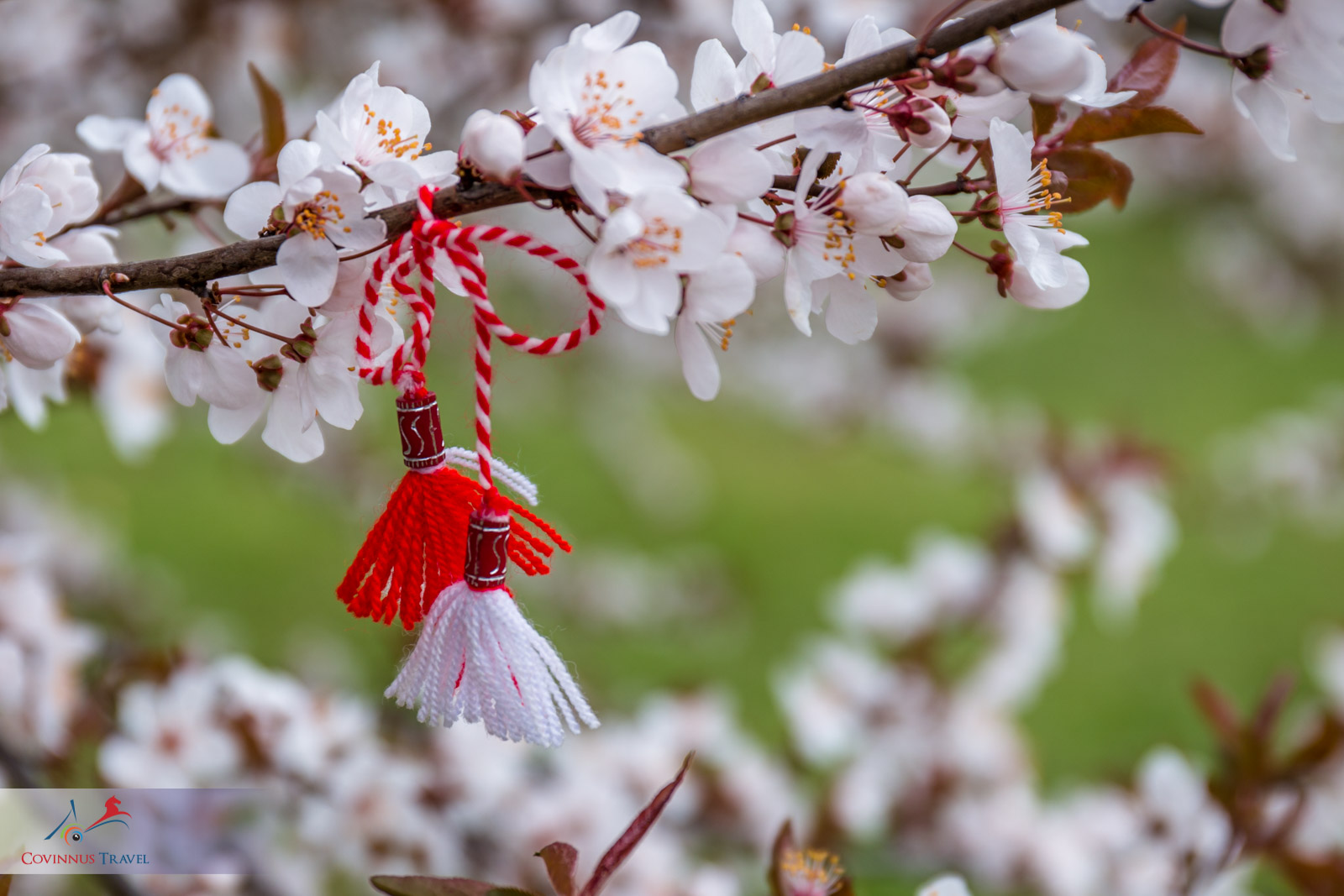 Martisor - March Charm - Covinnus Travel. Tours of Romania and Eastern Europe