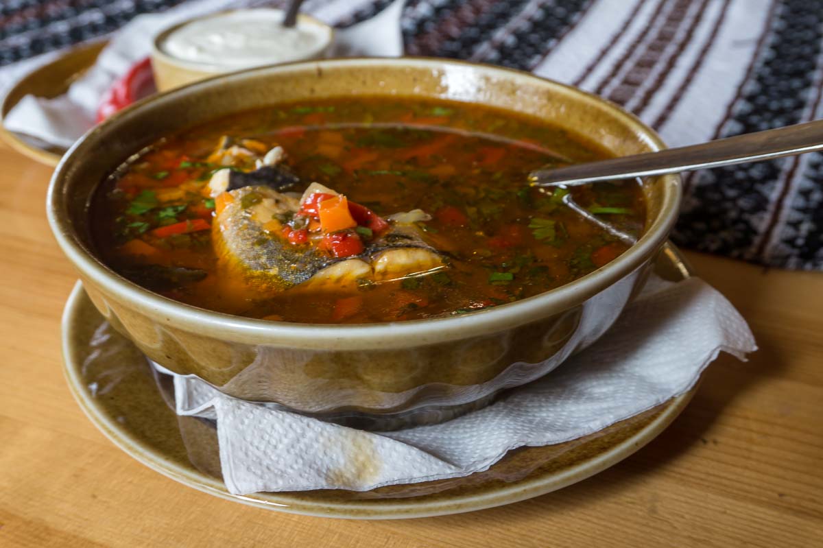 Romanian trout "ciorba" soup
