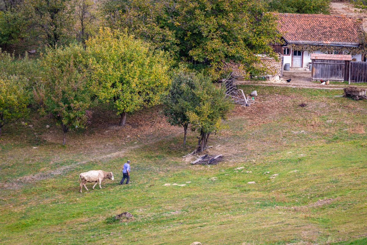Rural Transylvania